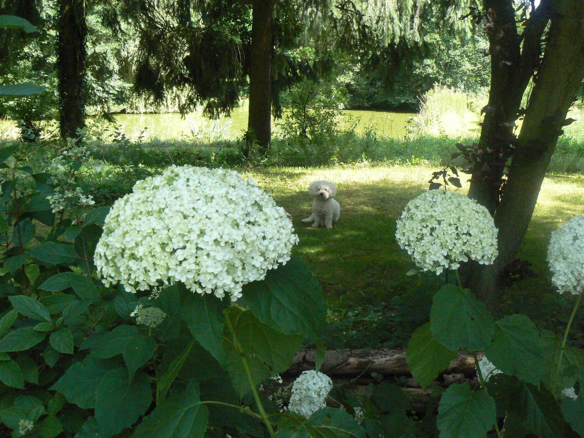Chambre D'Hotes Du Moulin De Landonvillers Courcelles-Chaussy Buitenkant foto