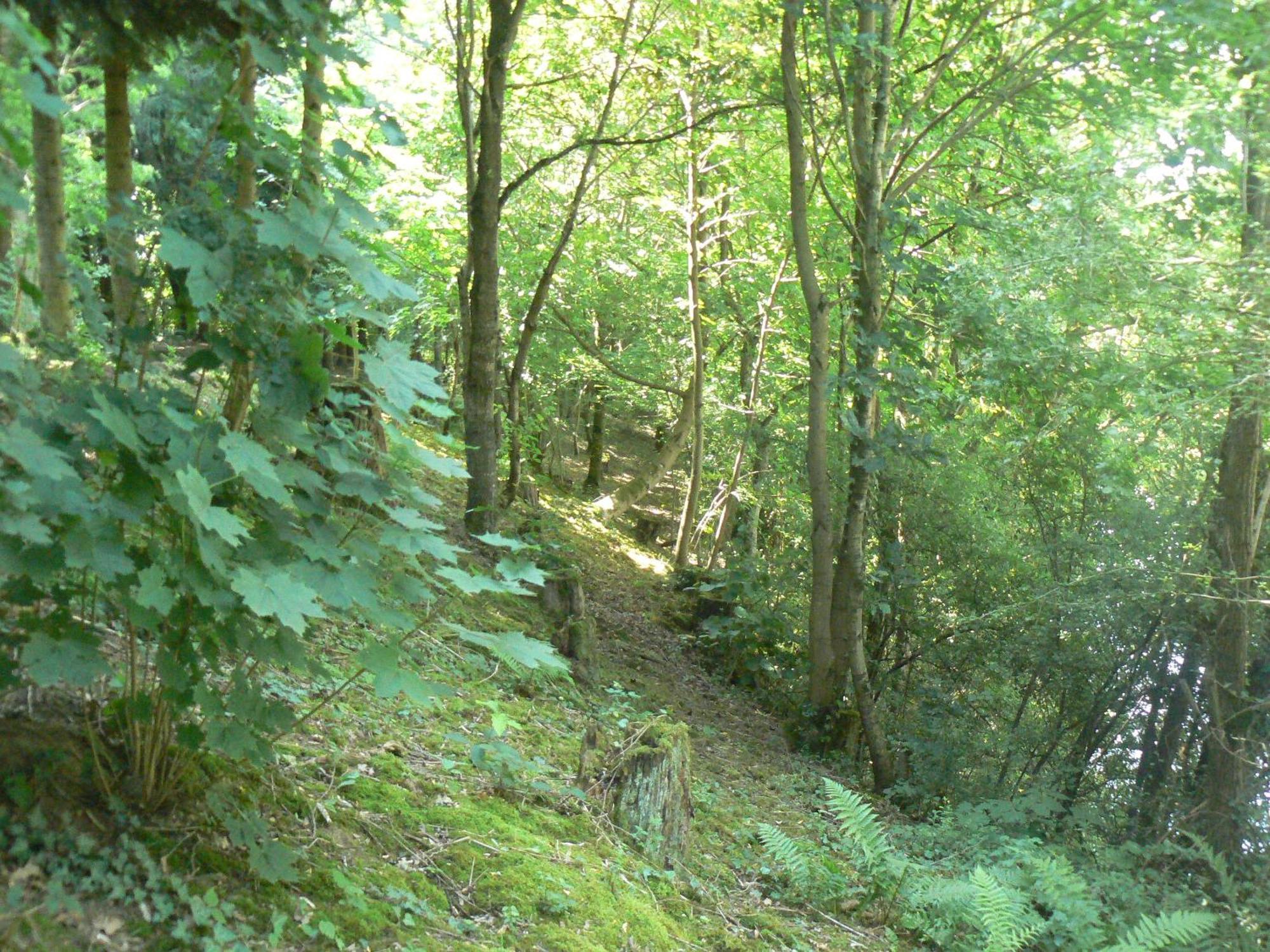 Chambre D'Hotes Du Moulin De Landonvillers Courcelles-Chaussy Buitenkant foto